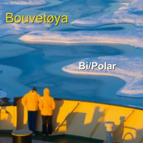 Bi/Polar cover