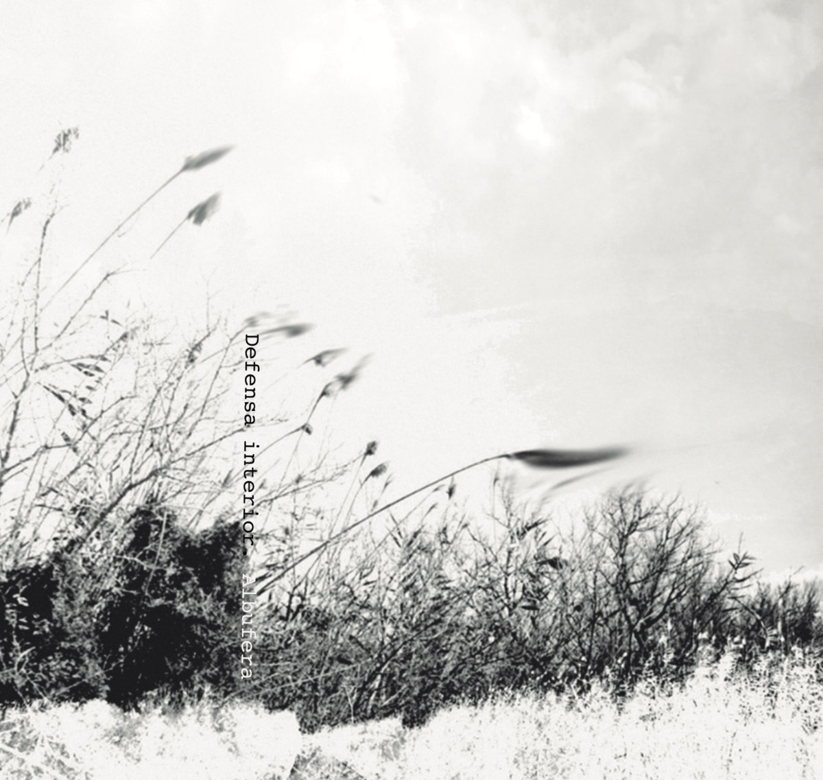 Oscos | Txema González | txemagonzalez