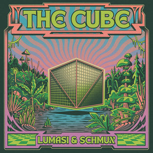 The CubeLumasi, SCHMUX cover