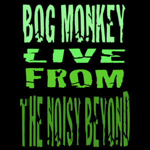 Live From The Noisy Beyond (DEMO) cover