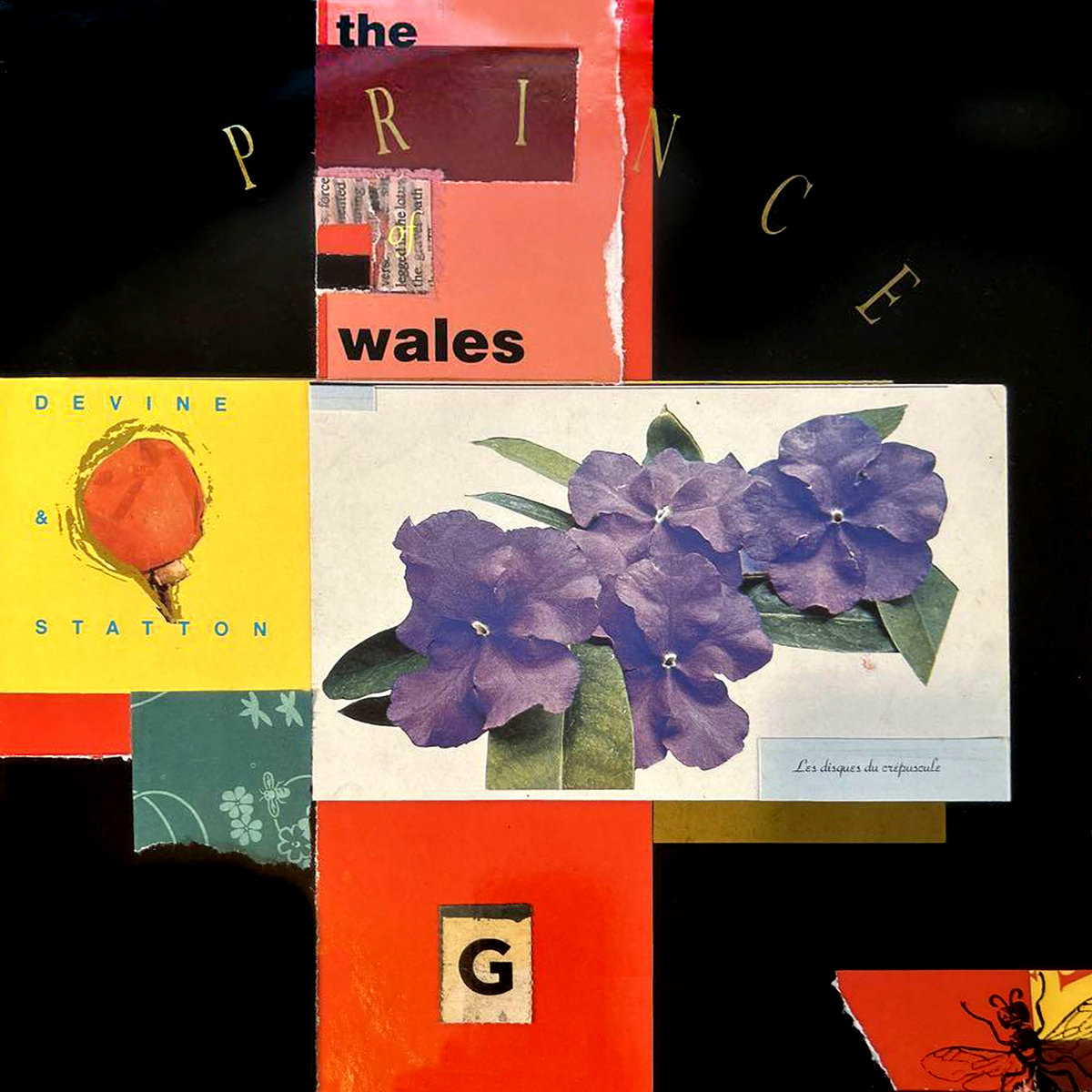 洋楽 Devine & Statton The Prince of Wales LP The Prince of Wales | Devine and Statton | Les Disques du Crépuscule