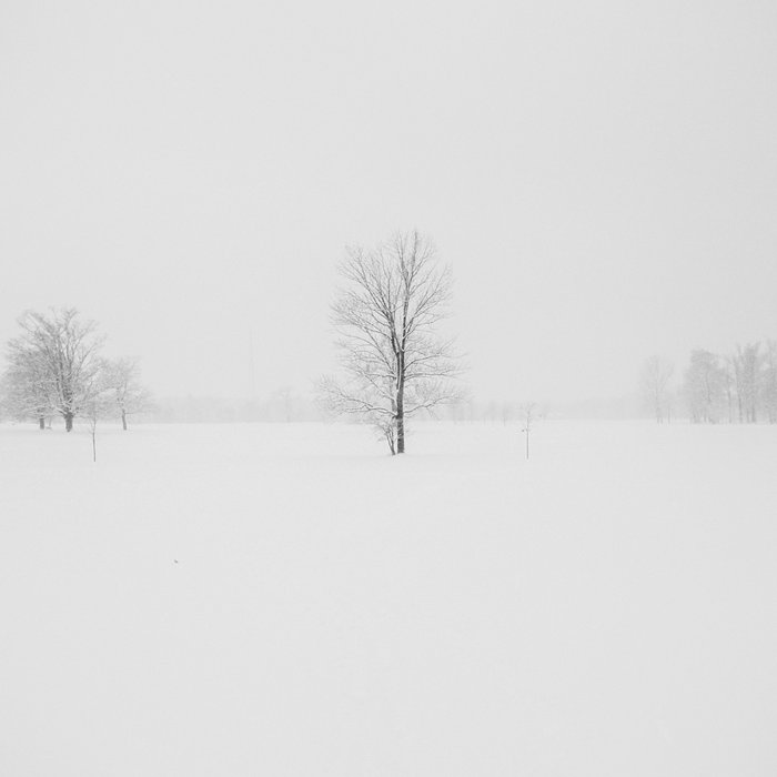 Nightwish christmas album