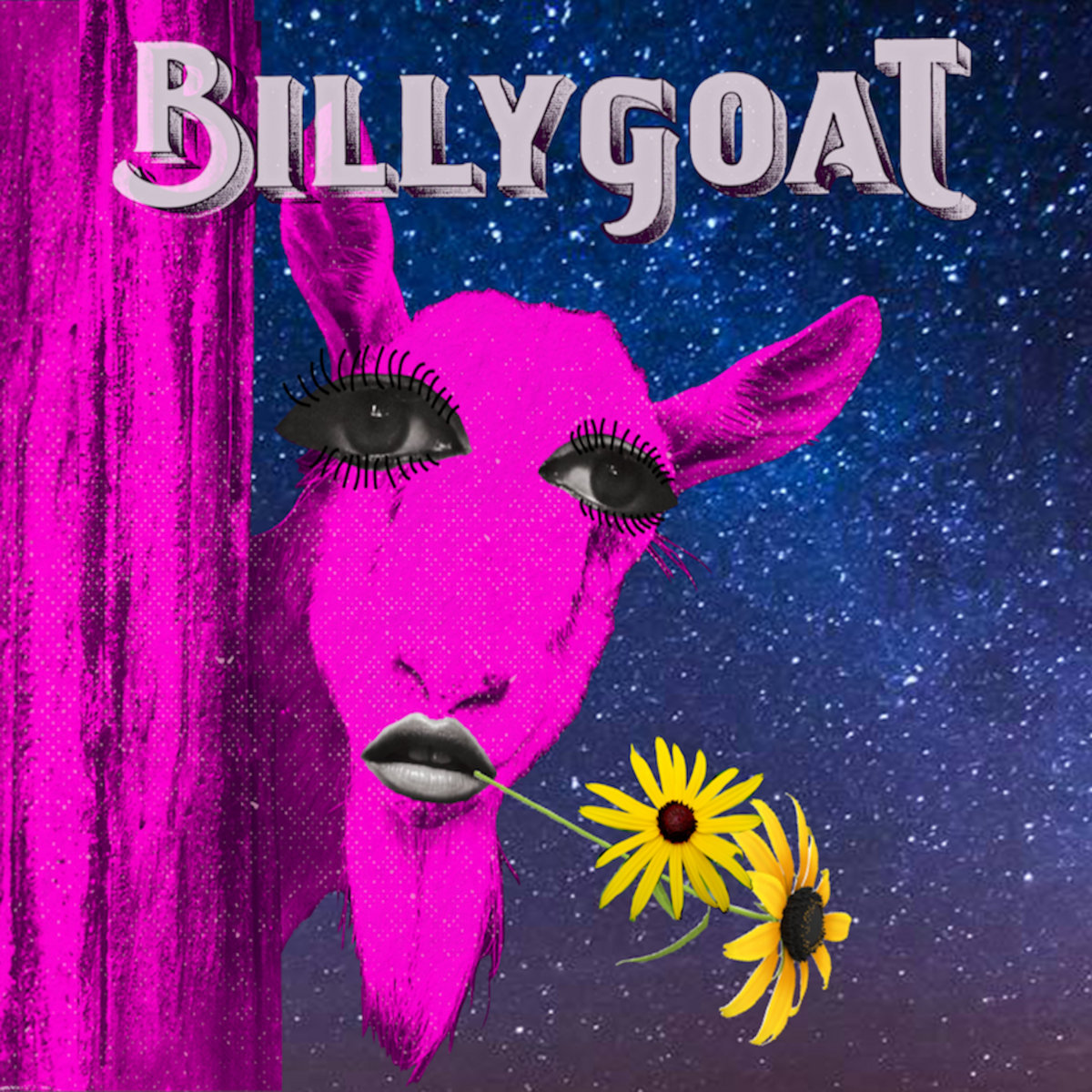 Billygoat Billygoat