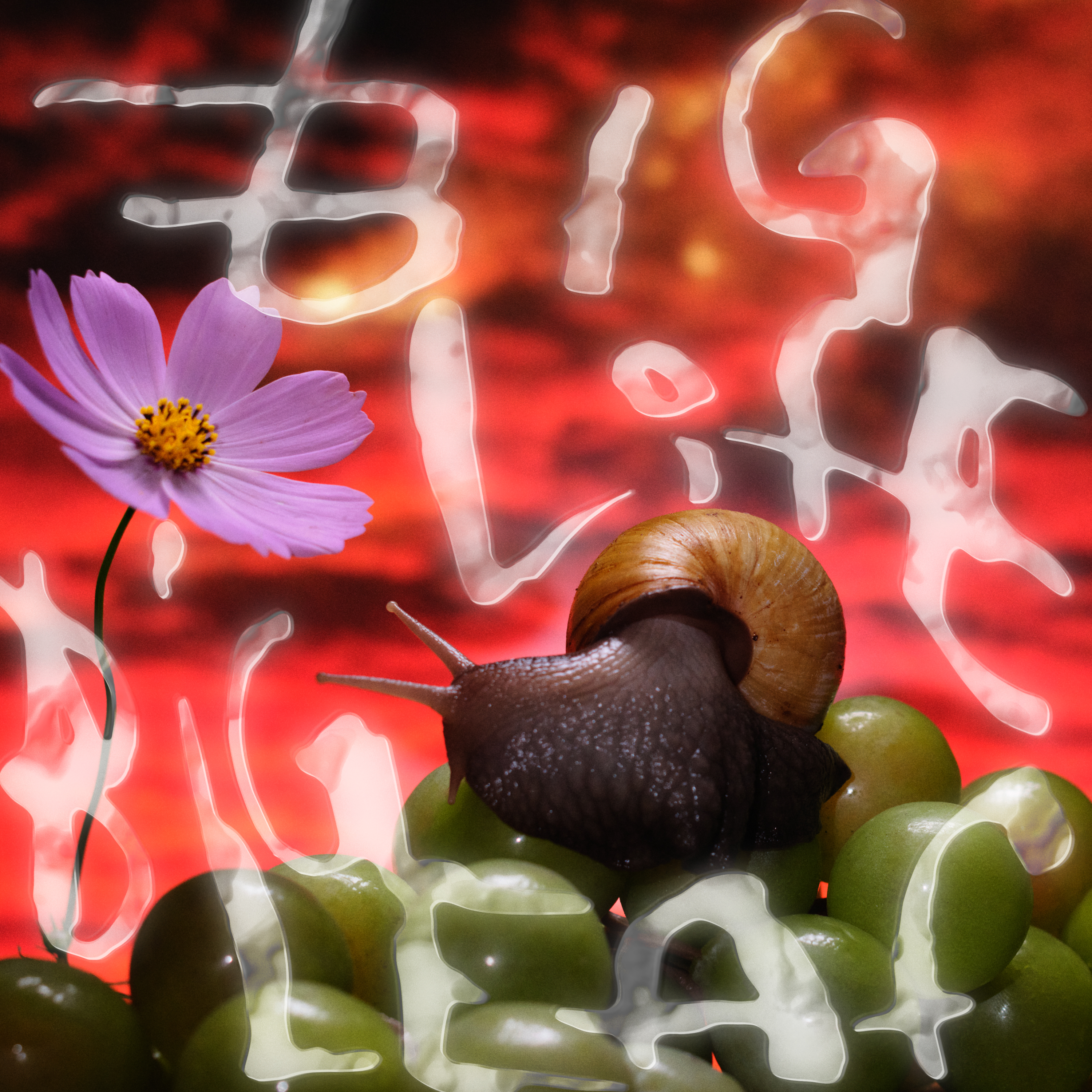 No Joy — Big Life, Big Leaf