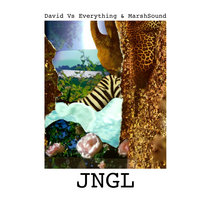 David Vs Everything & Marsh Sound - JNGL cover art