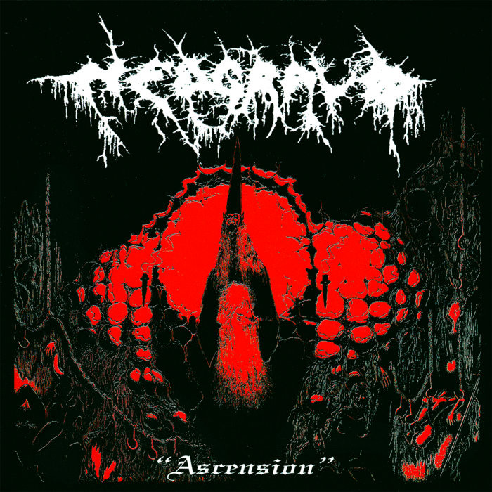 nedgravd.bandcamp.com