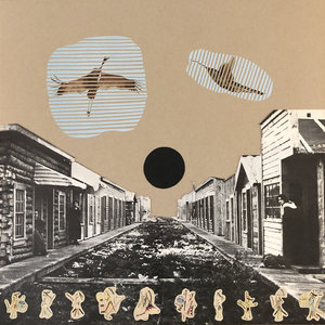 Prairie Flowers cover