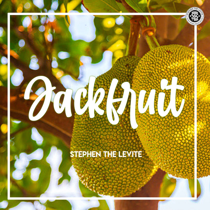 The Verse Of The Month Stephen the Levite 