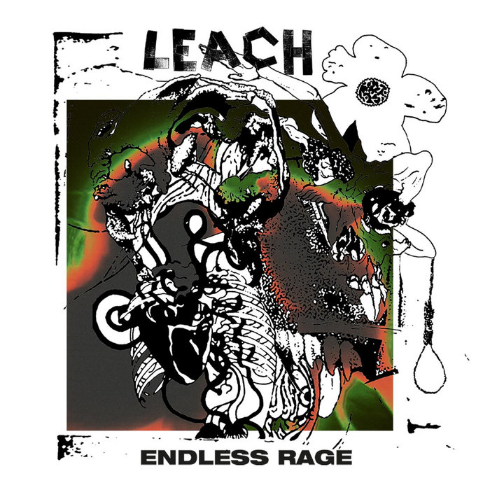 Endless Rage | Leach | DO YOU CARE? ZINE