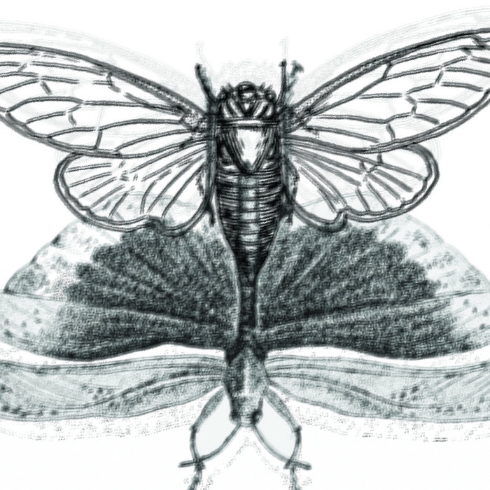 Locust Rondevous Locust Revolution | Muting Silence