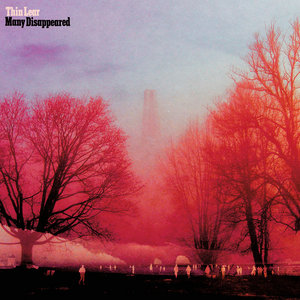 Many Disappeared cover
