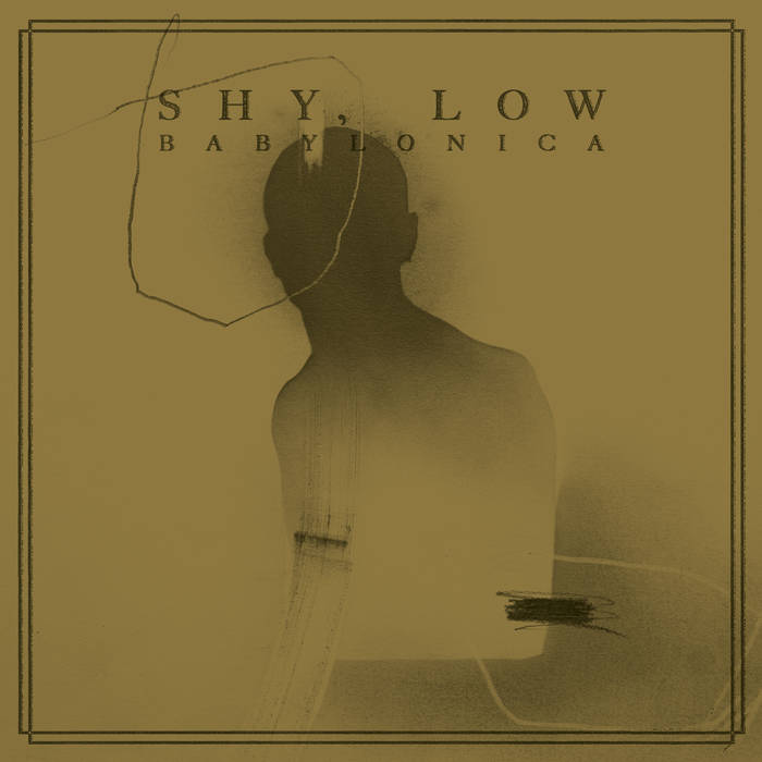 Shy_low Babylonica