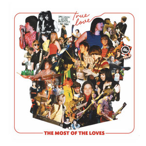 TRUE LOVE- THE MOST OF THE LOVES cover