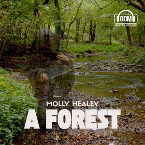 IX. A Forest cover