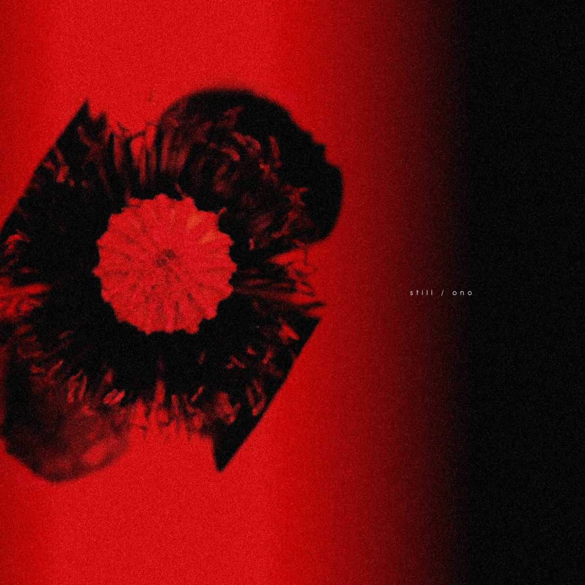 ono – still