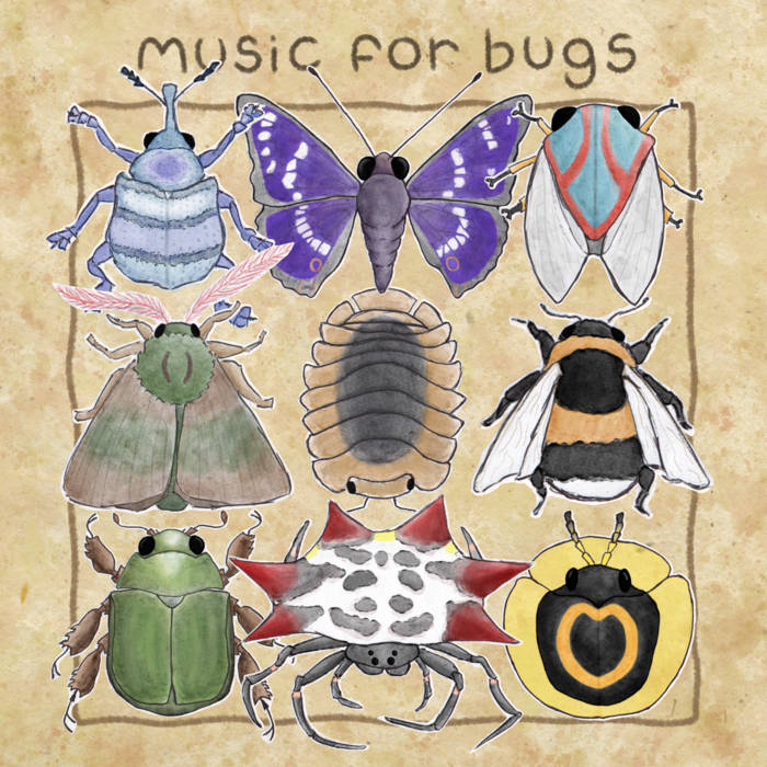 music for bugs