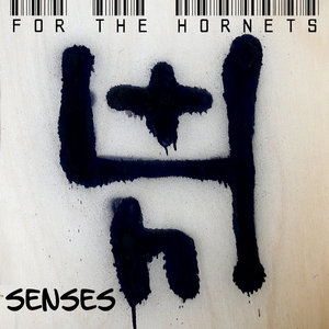 Senses cover