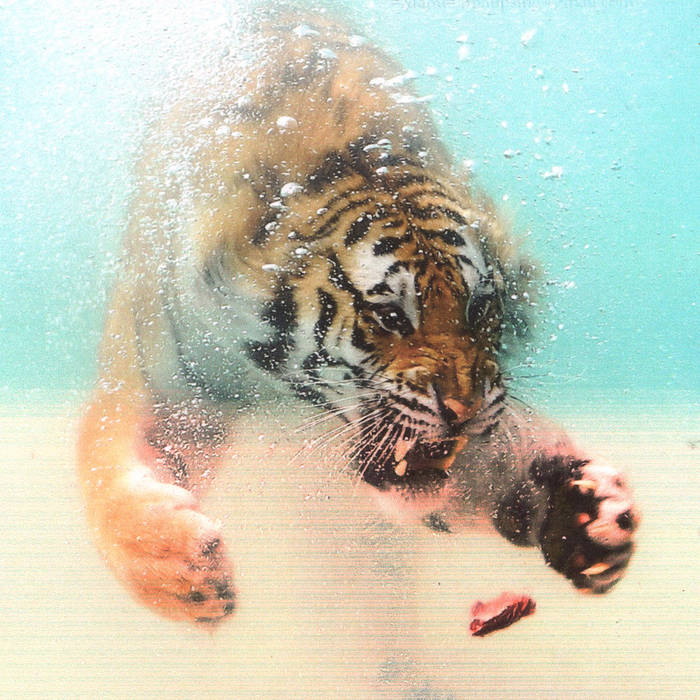 ◉美品◉ALPHA◉MA-1◉BACK FLYING A TIGER a-0005.png