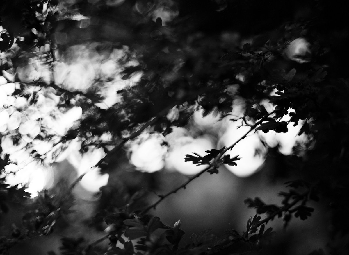 "Dreams and Past Lives" EP Jesse Layne