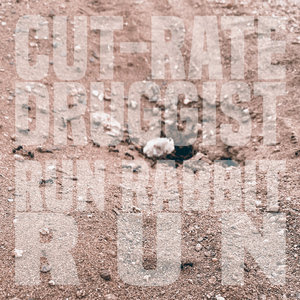 Run Rabbit Run cover