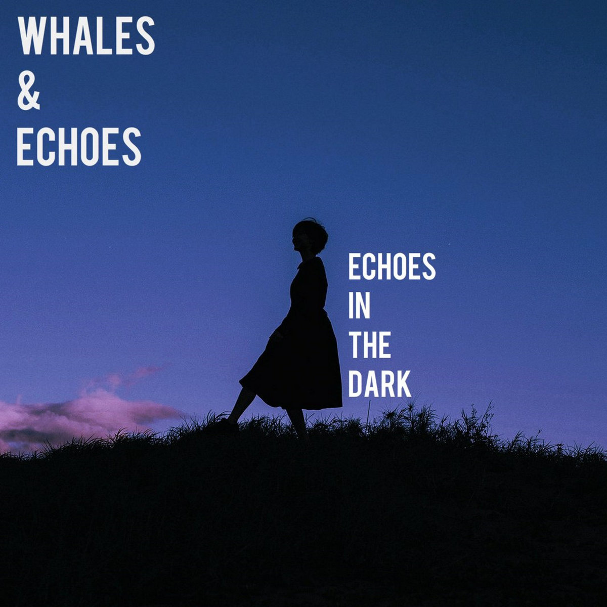Echoes In The Dark Whales & Echoes