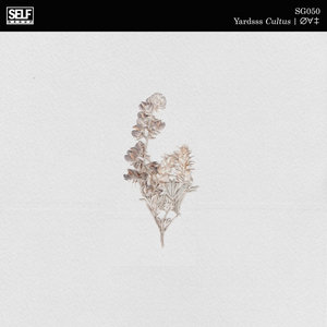 ∅∀‡ | Cultus cover