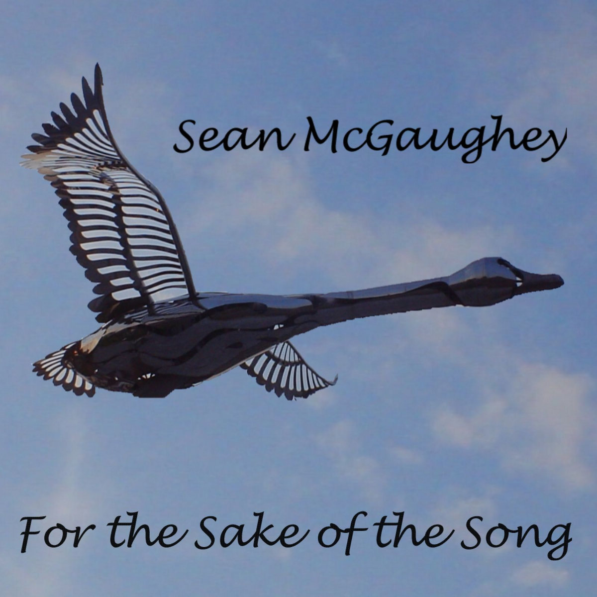 duct tape song sean mcgaughey