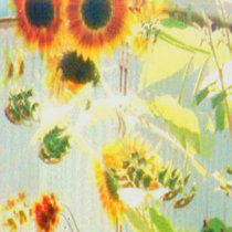 Sunflower EP cover art