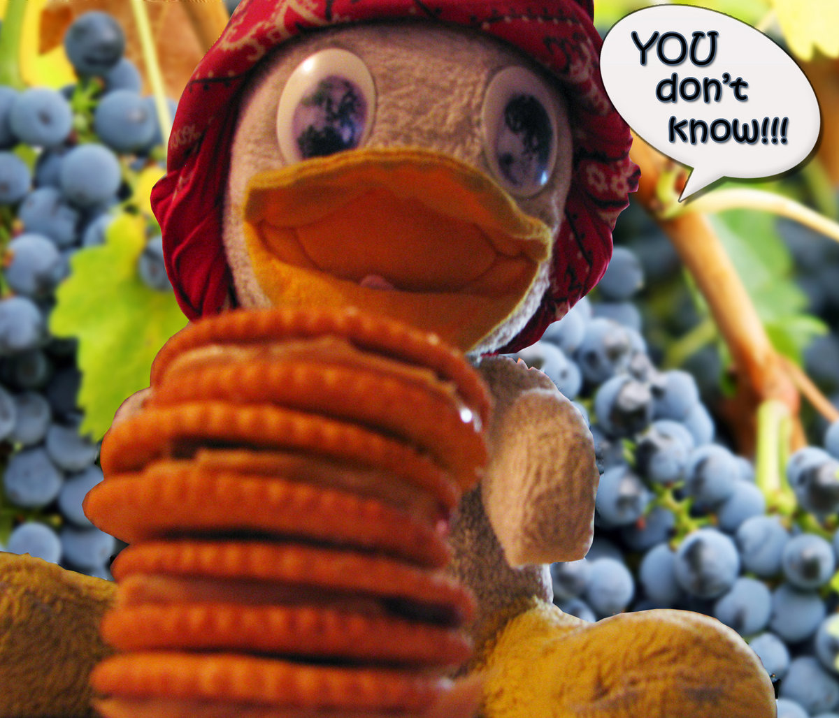 You Don't Know Adam Pfeffer antimi