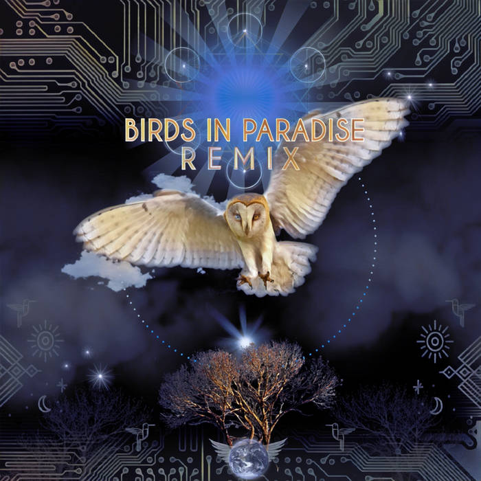BIRDS IN PARADISE: REMIX | BIRD TRIBE | I AM LIFE MUSIC