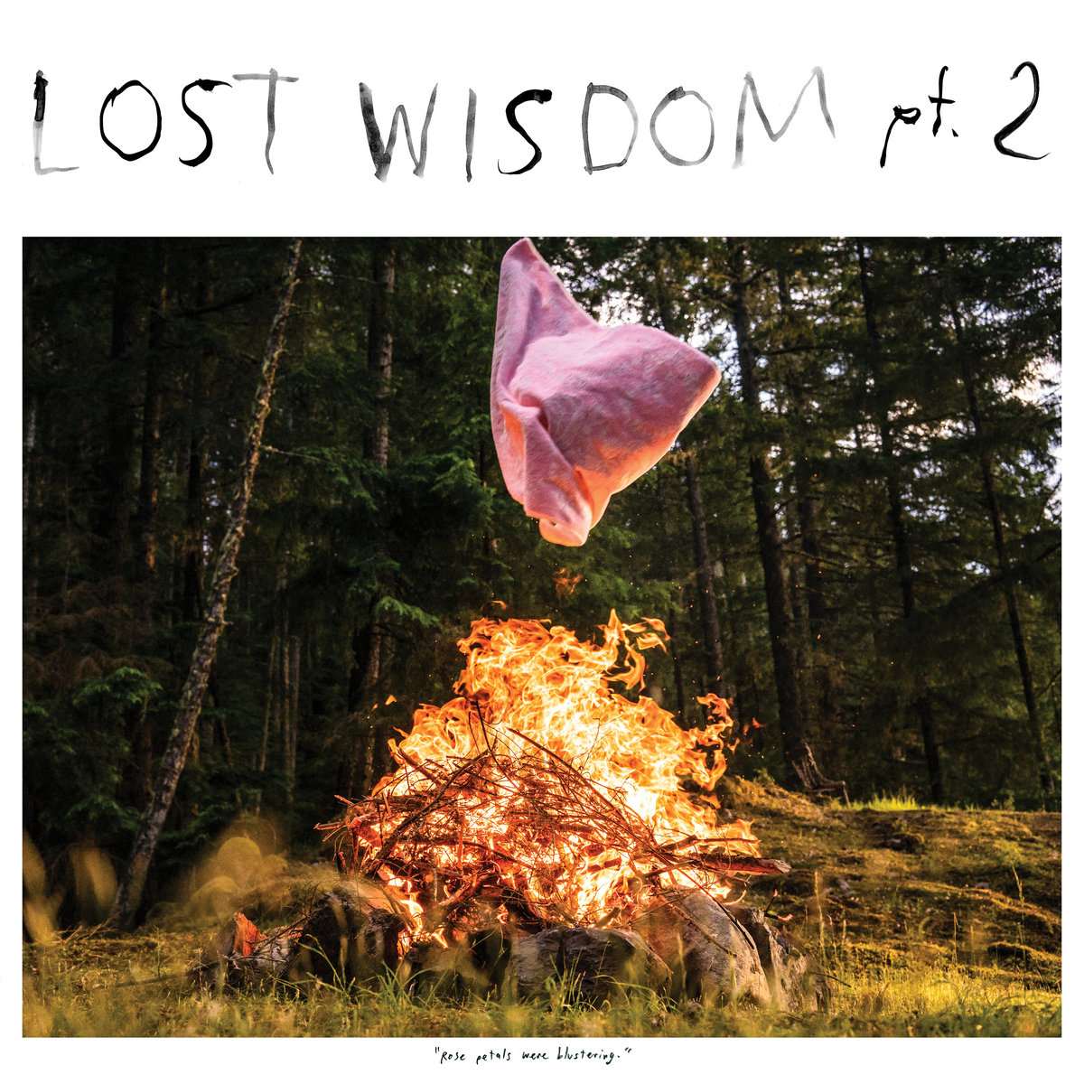 Image result for mount eerie lost wisdom pt 2