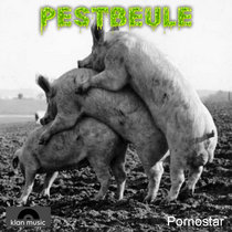 Pestbeule Cover Art