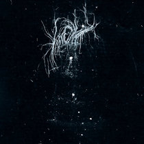 My Heart, an Inverted Flame - My Death Is More Beautiful Than Your Life