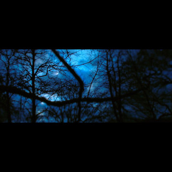 Zan Lyons 「desolate」 レコード Music | Zan Lyons