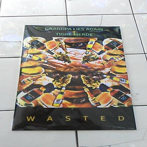 WastedGrandpa Lies Again & Tigre Merde cover