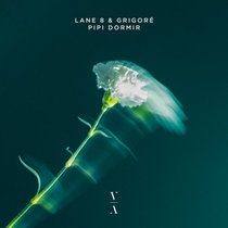 Lane 8 & Grigoré — Pipi Dormir