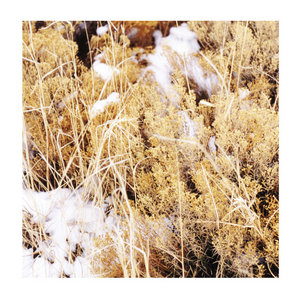 Mamiffer — The Brilliant Tabernacle ("Salt Marsh" Japanese bonus EP)
