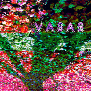 Vasas cover
