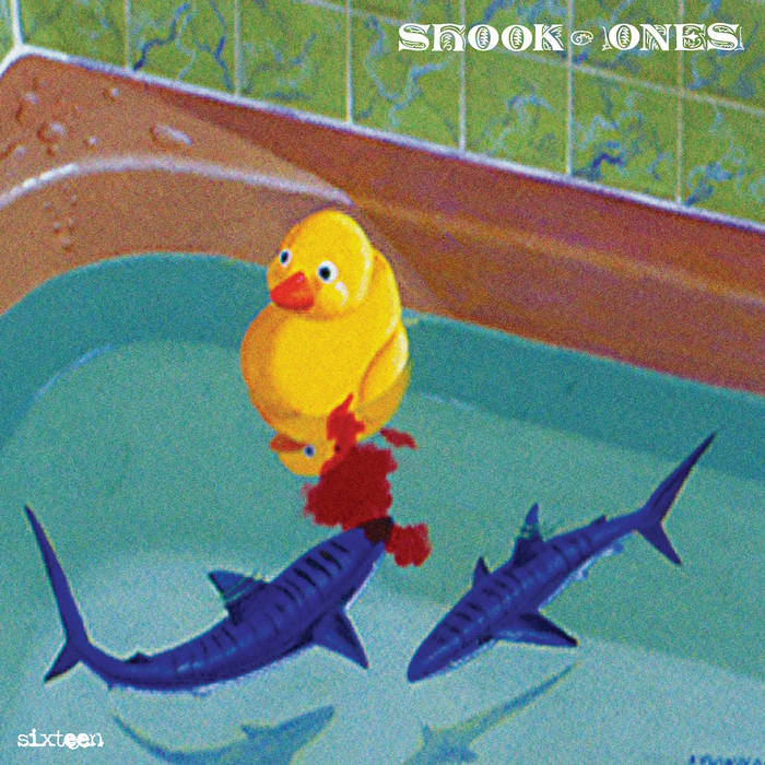 Sixteen | Shook Ones