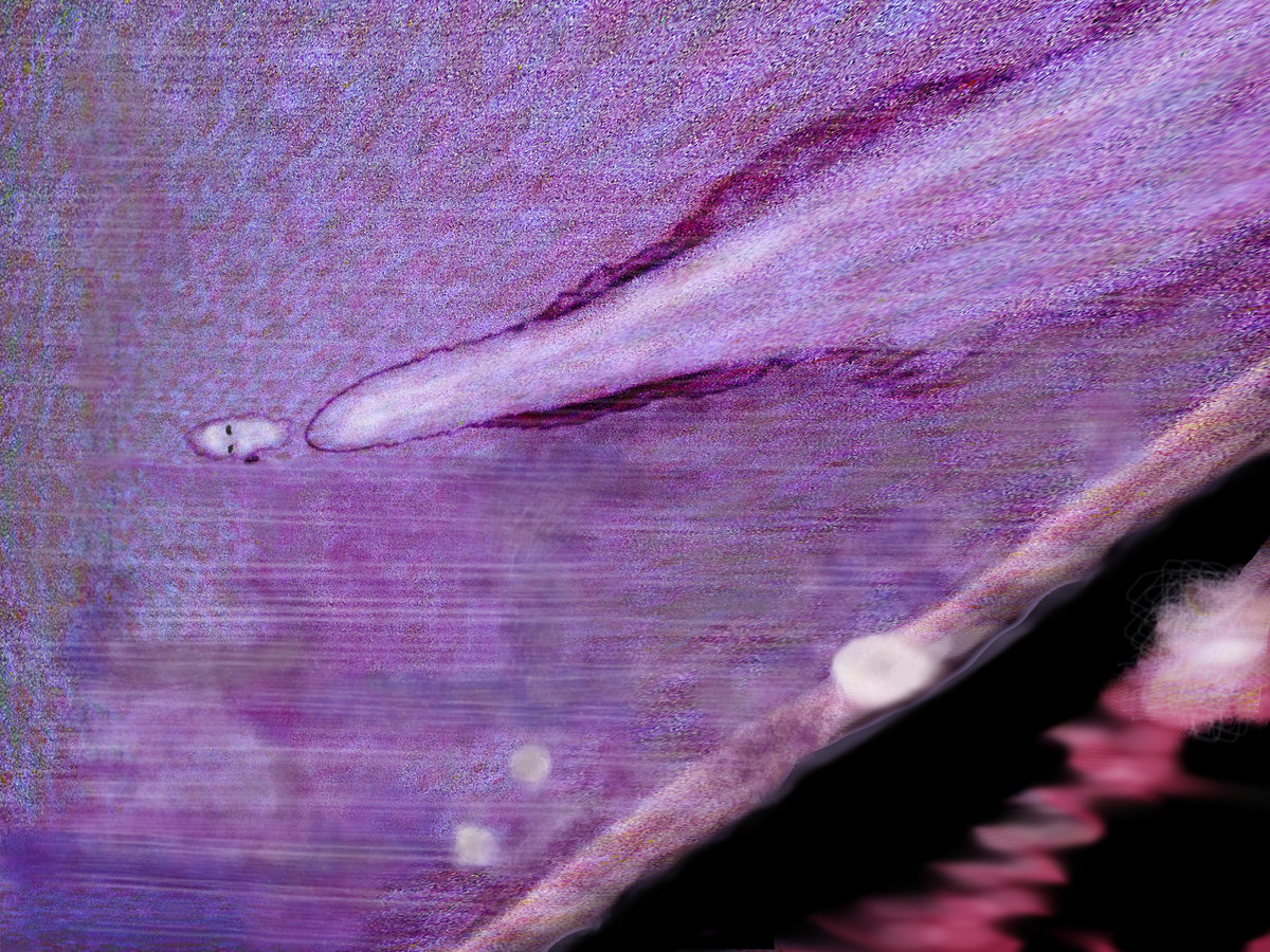 Coping Techniques for Finite Living cover