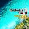 Namaste Gaia Cover Art
