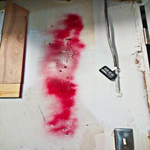 desecrator cover