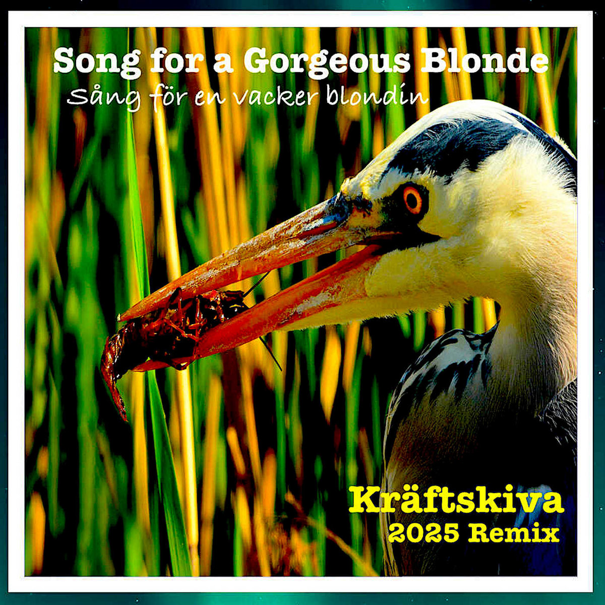 KrÃ¤ftskiva (2025 Remix)