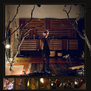 Waterstrider — 25th Street Sessions