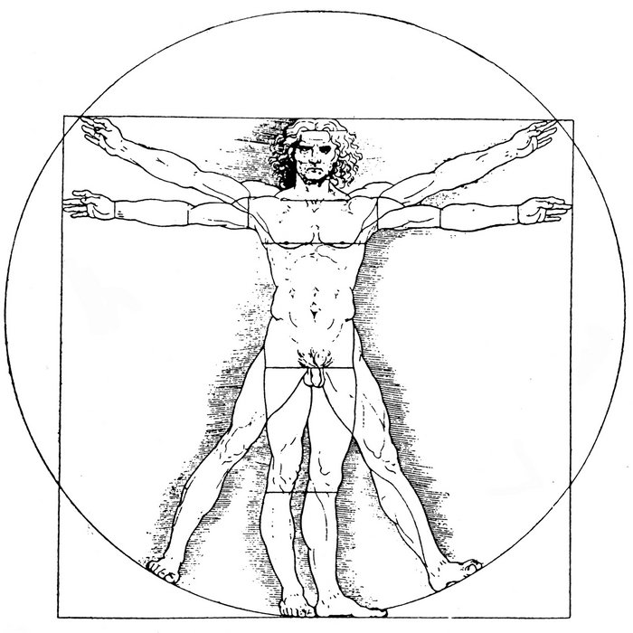 Biosonic Leonardo Protocol Tuning Fork Active Meditation (SH) John