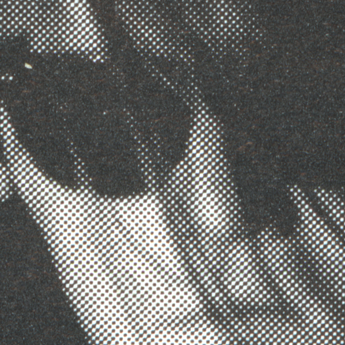 LCD SOUNDSYSTEM / TRUS'ME / RILEY REINH… a1959689586_10.jpg