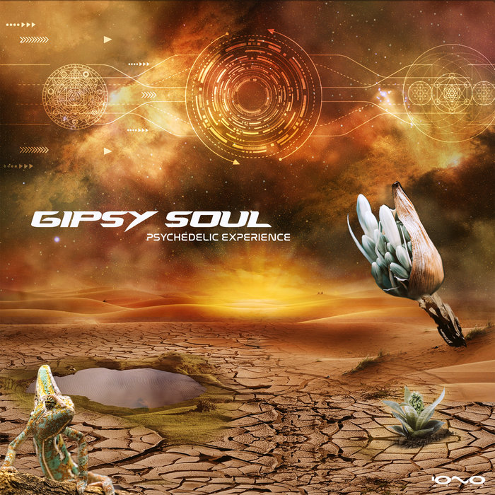 Psychedelic Experience (24 Bit) | Gipsy Soul | IONO MUSIC
