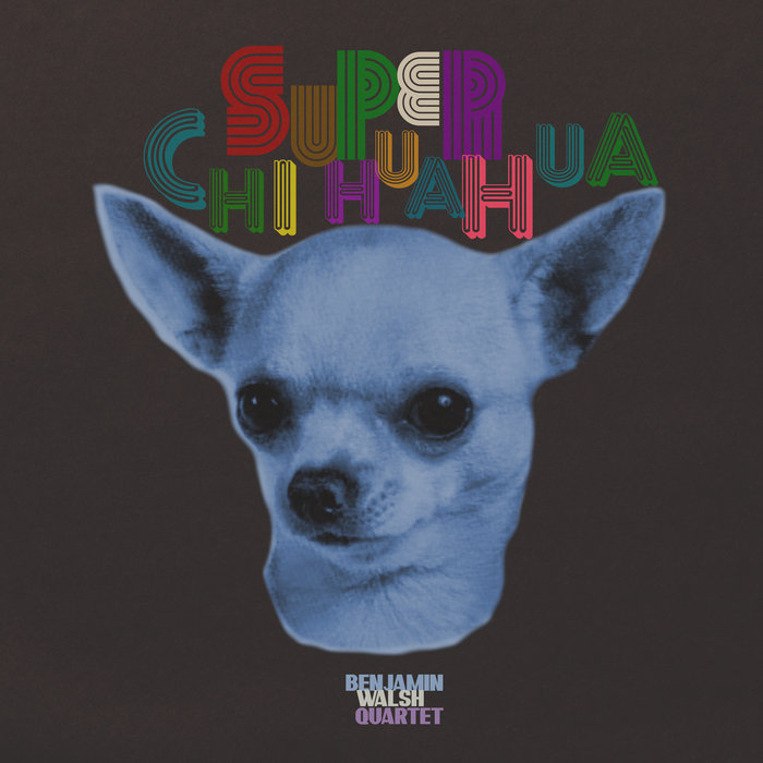 Super Chihuahua | Benjamin Walsh Quartet | Benjamin Walsh