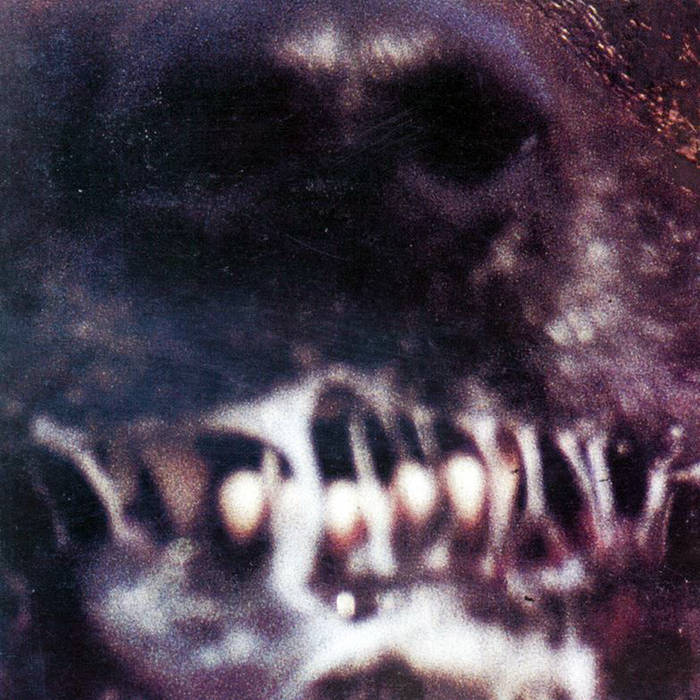 【レア盤】SUFFERING DOWN「Massive Genocide ～」 Genocide - Genocide [ 25th Anniversary Edition ] | Larvae