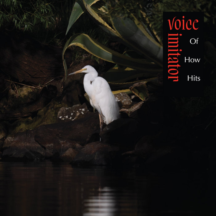 洋楽 THA VOICE - BOW YH HERD Of How Hits | Voice Imitator